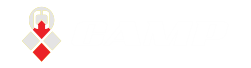 bicycle brand